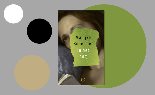 Boekverslag In Het Oog Marijke Schermer